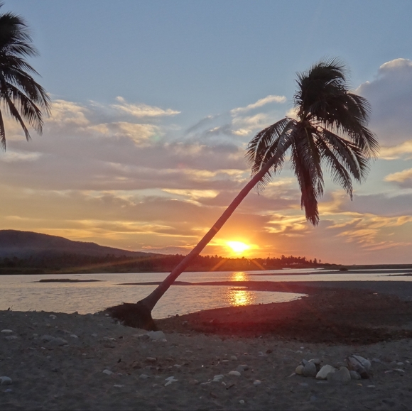 Meet your Posher, Lael - Picture 3 of 3